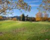 Photo verjagen