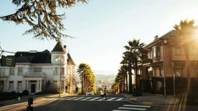 Photo spreeuwen verjagen