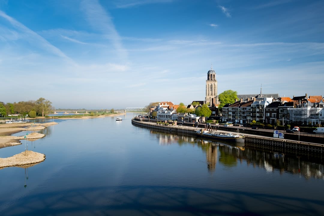 Photo Rioolvliegen